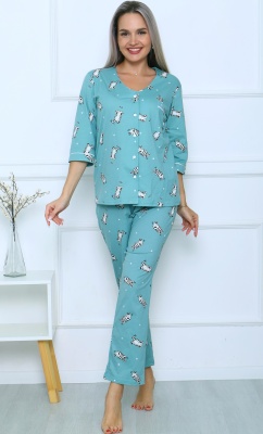 П-3885-1